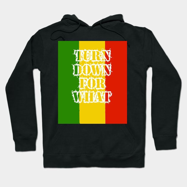 Turn Down For What, Ethiopia flag, Rasta Hoodie by alzo